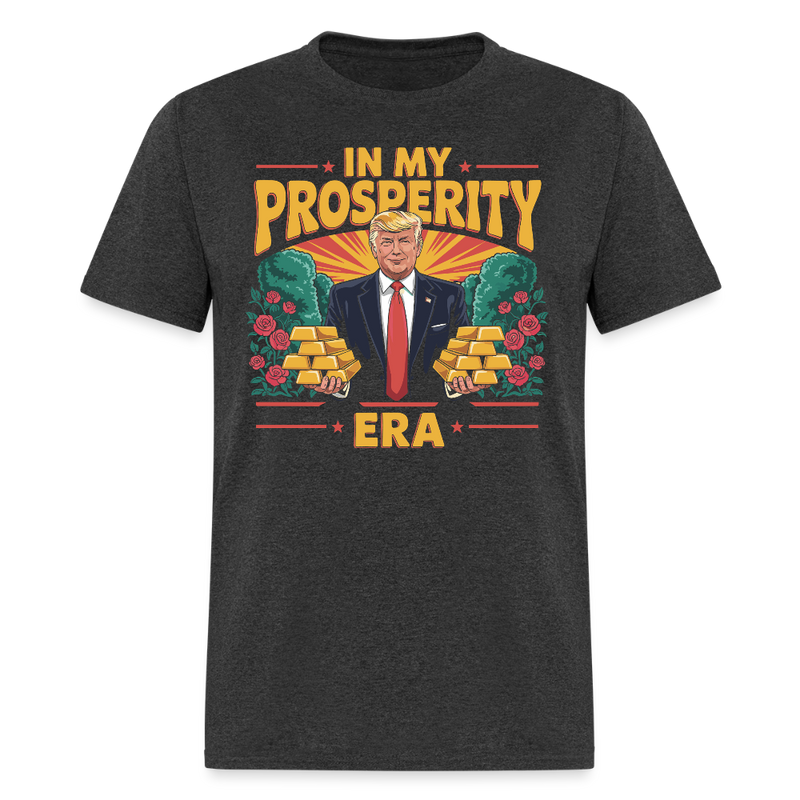 In My Prosperity Era T Shirt - heather black