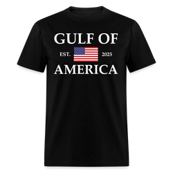 Gulf of America Est. 2025 Flag T Shirt - black