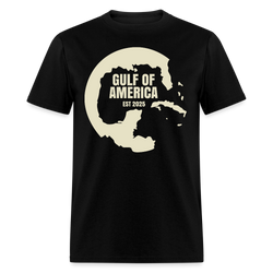 Retro Vintage Map Gulf Of America T Shirt - black