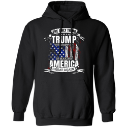 The Only Thing Trump Is Guilty Of Hoodie