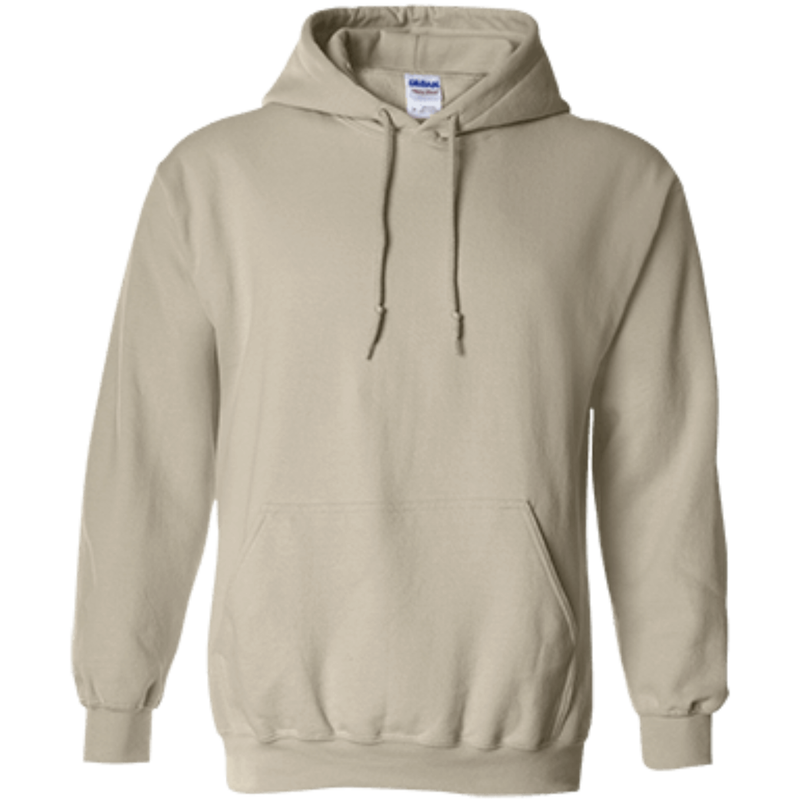 Alligator Alcatraz Everglades Florida Est. 2025 Back Print Hoodie