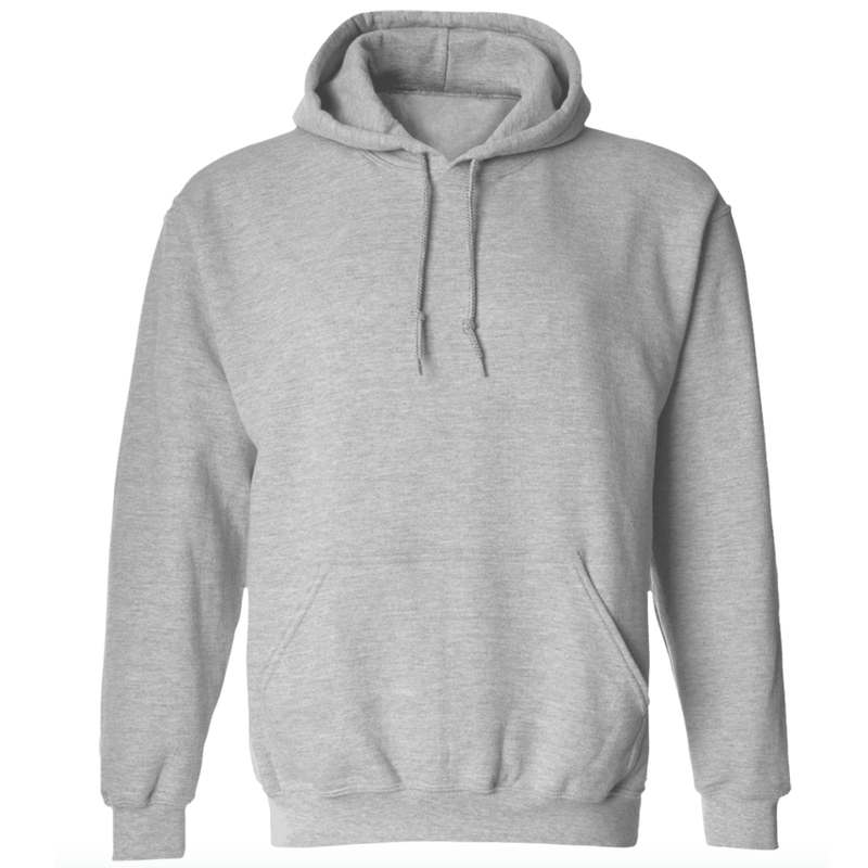 Alligator Alcatraz Everglades Florida Est. 2025 Back Print Hoodie