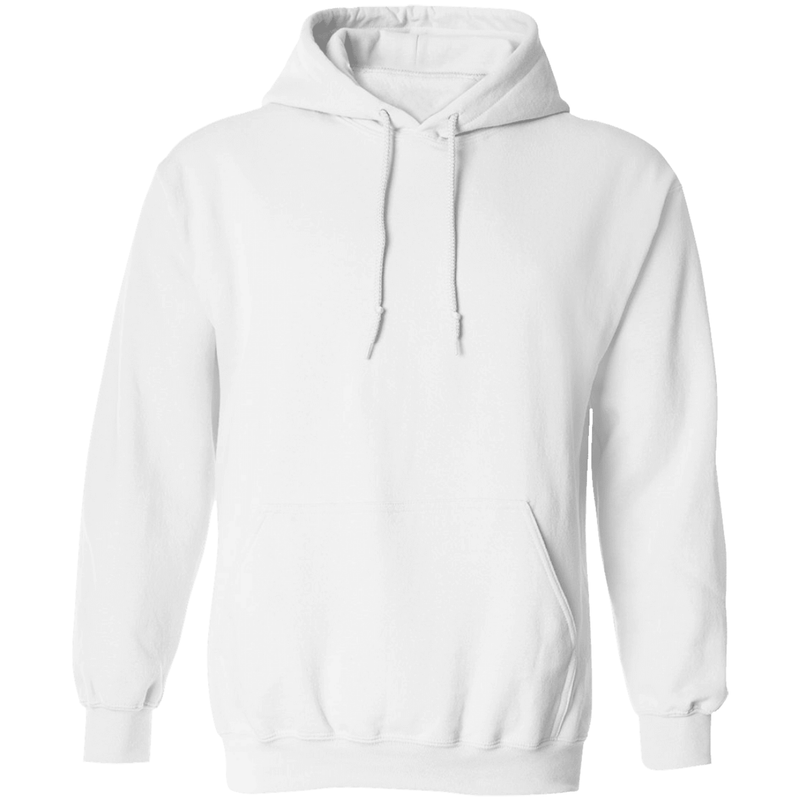 Alligator Alcatraz Everglades Florida Est. 2025 Back Print Hoodie