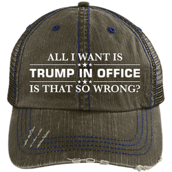 All I Want Is Trump In Office Hat