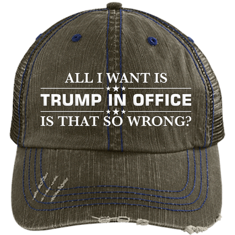 All I Want Is Trump In Office Hat