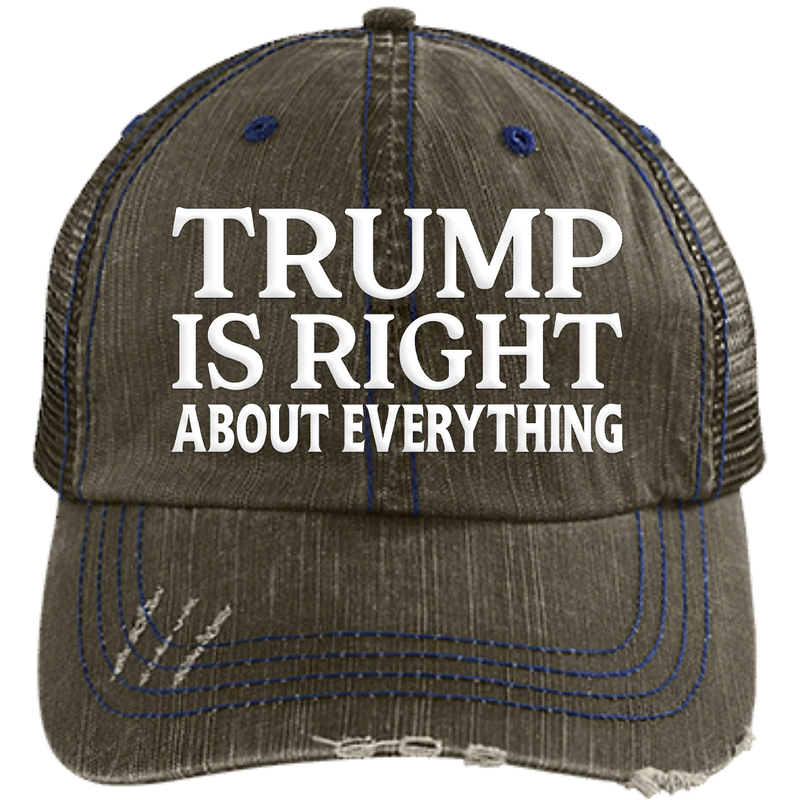 Trump Was Right About Everything Hat