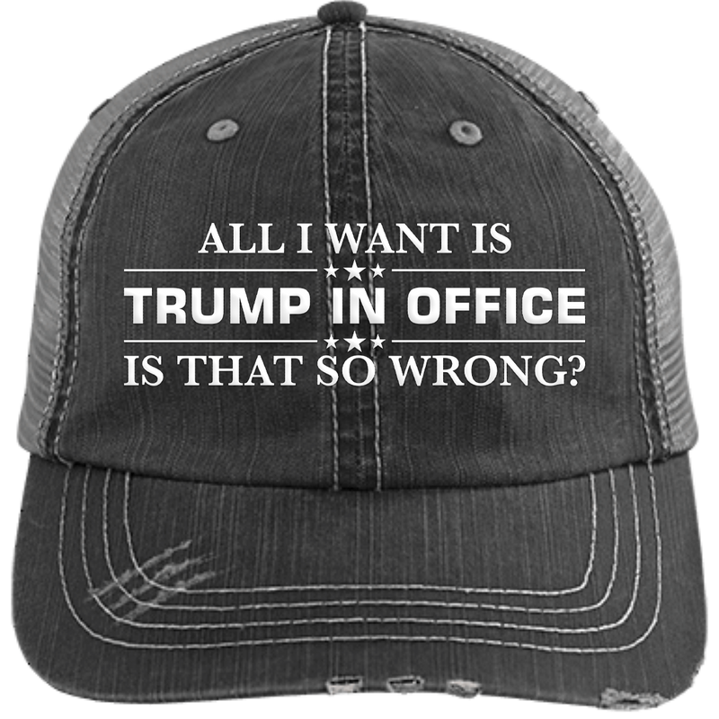 All I Want Is Trump In Office Hat