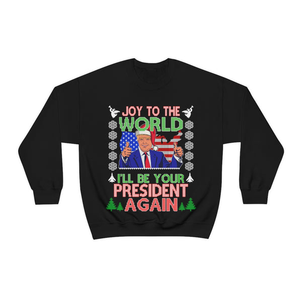 I'll Be Your President Again Sweater