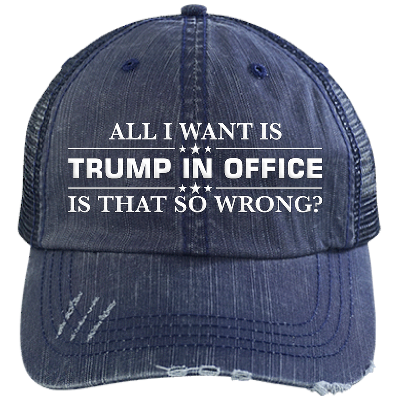 All I Want Is Trump In Office Hat